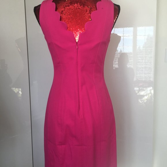 BR Hot Pink Dress - Picture 3 of 4